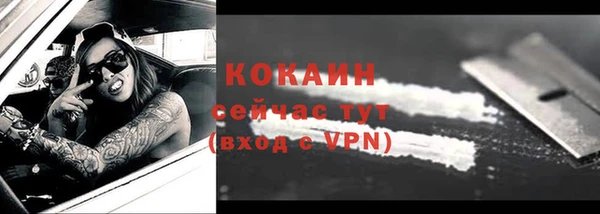мяу мяу мука Няндома