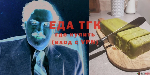 индика Осташков