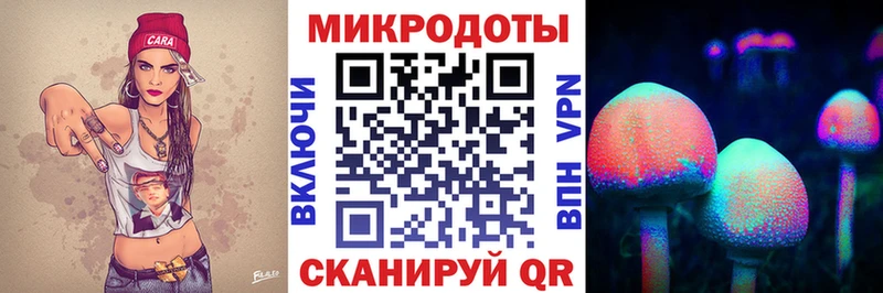 Псилоцибиновые грибы Cubensis  где продают наркотики  Соль-Илецк 