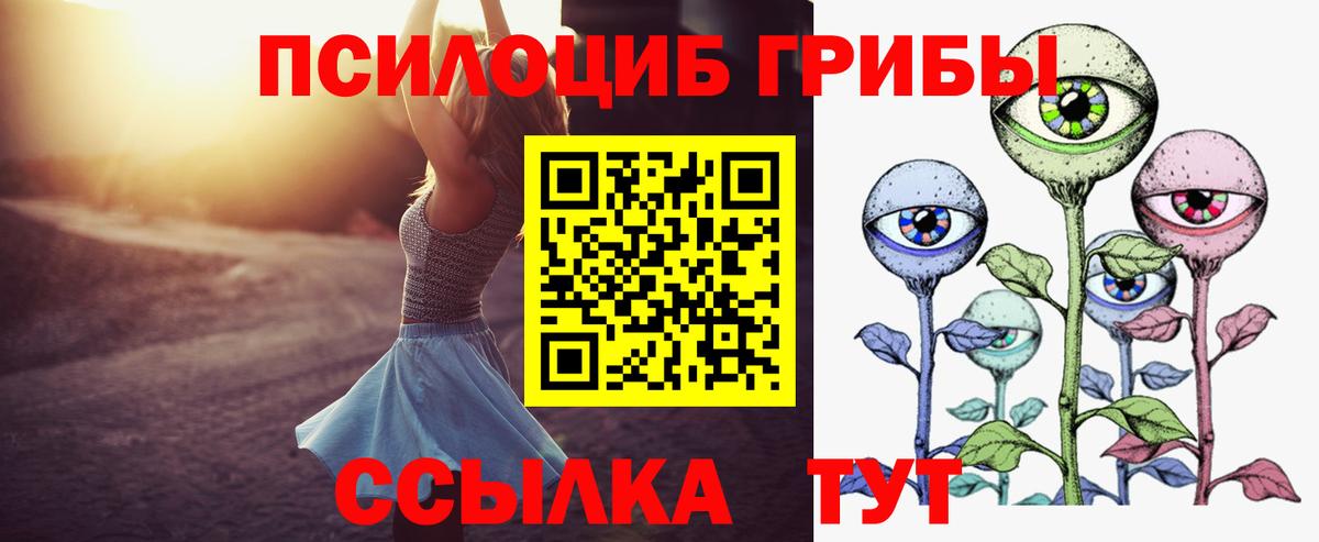 Соль-Илецк  Галлюциногенные грибы прущие грибы  Вход с VPN 